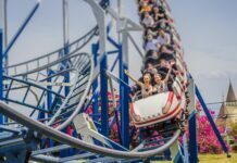 What Should I Do After a Serious Injury at An Amusement Park? amusement park