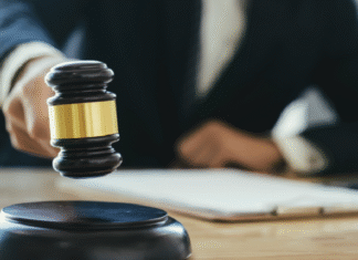How to Clear Your Criminal Record in Florida (2025 Guide) Criminal Record